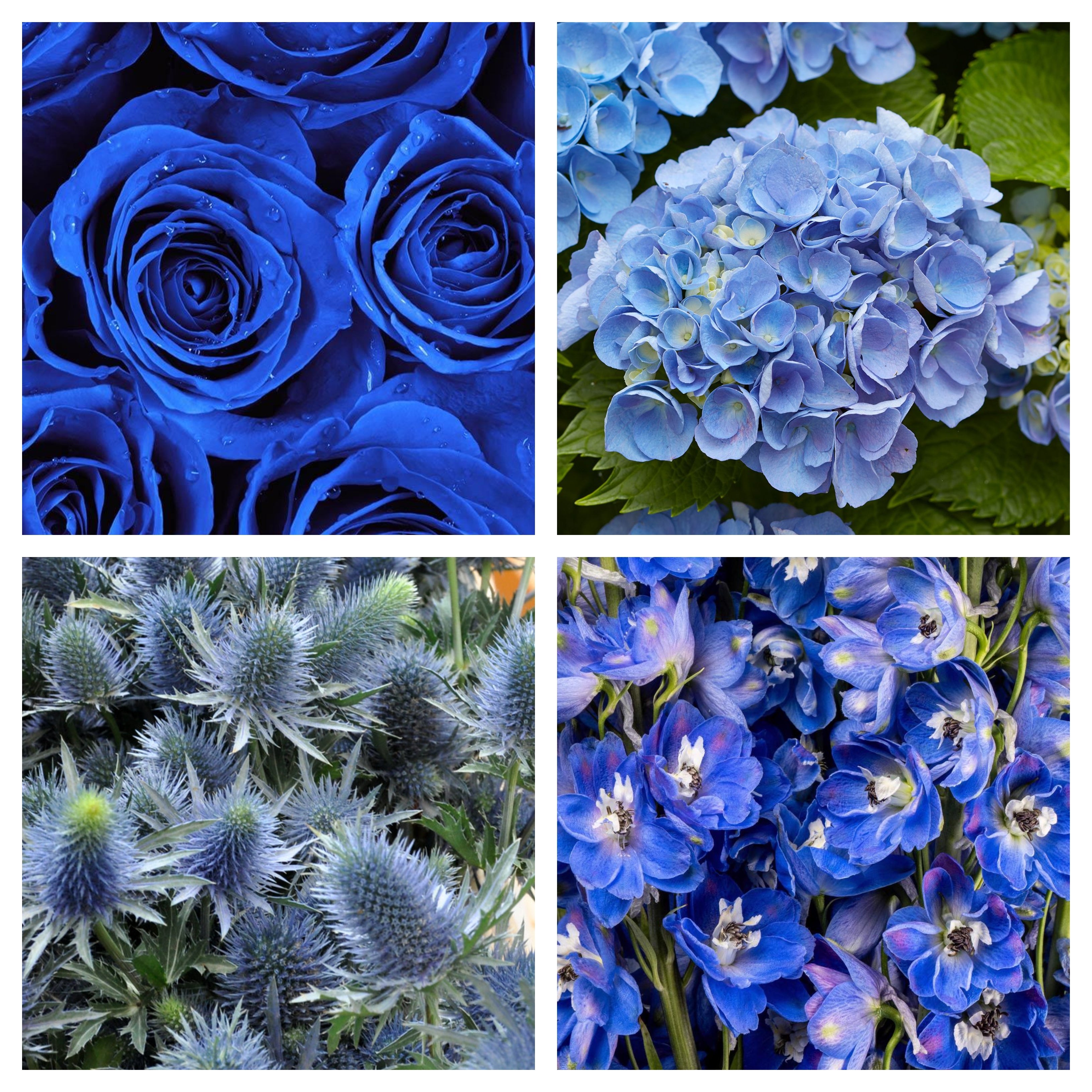 Shades of Blue Bulk Bundle