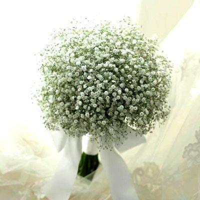 Baby's Breath Bridal Bouquet