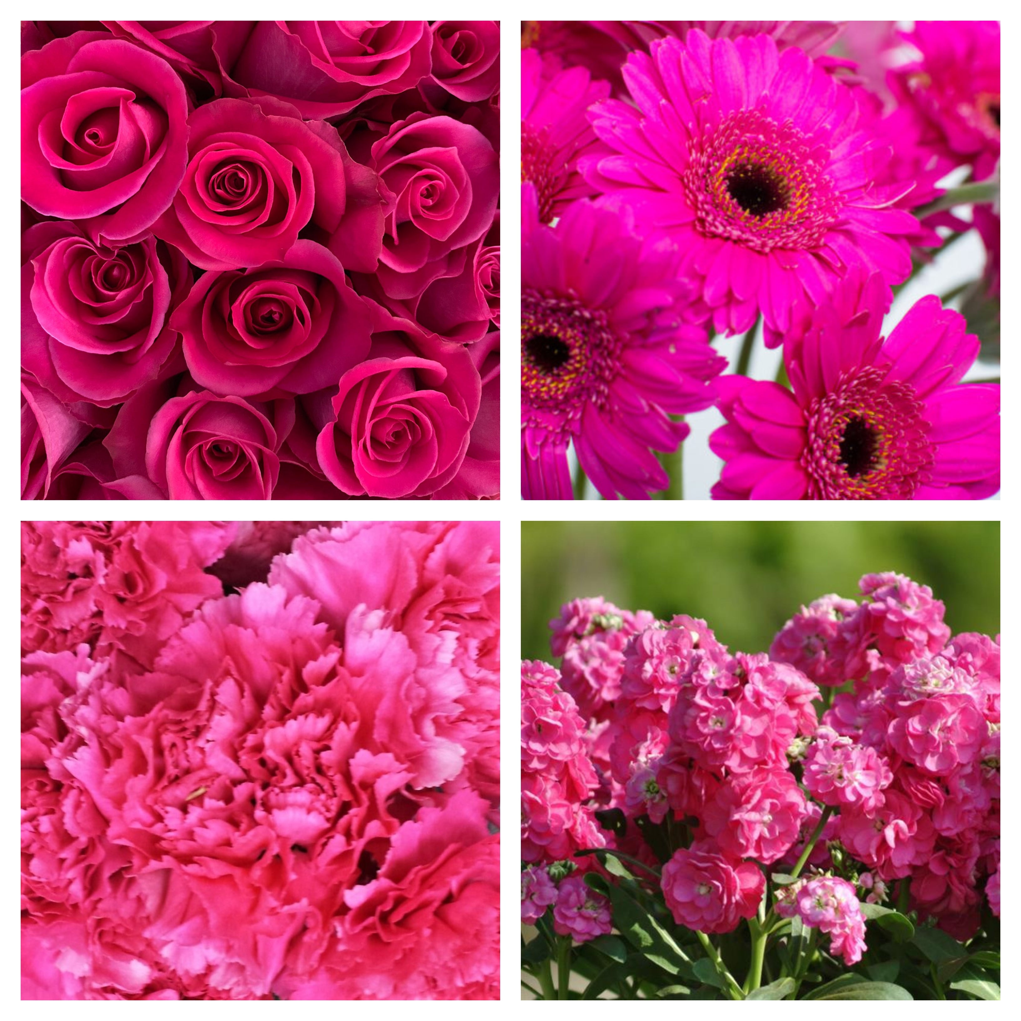 Natural Raffia Bundles, Floral Accent Bundle, Wedding bouquets accents  wholesale - Wholesale Flowers and Supplies