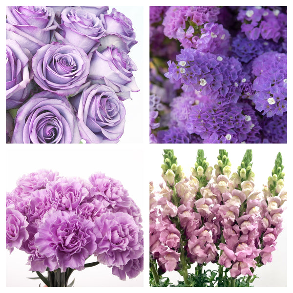 Puple Direct Us Shades of Purple Bulk Bundle – Bunches Direct USA