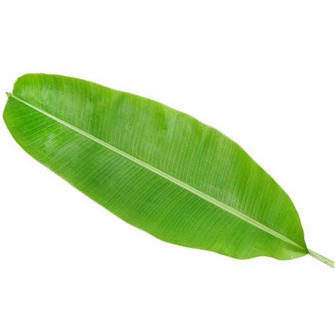 Banana Leaf