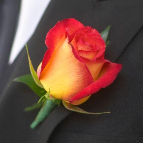 Burnt Orange and Yellow Rose Boutonniere
