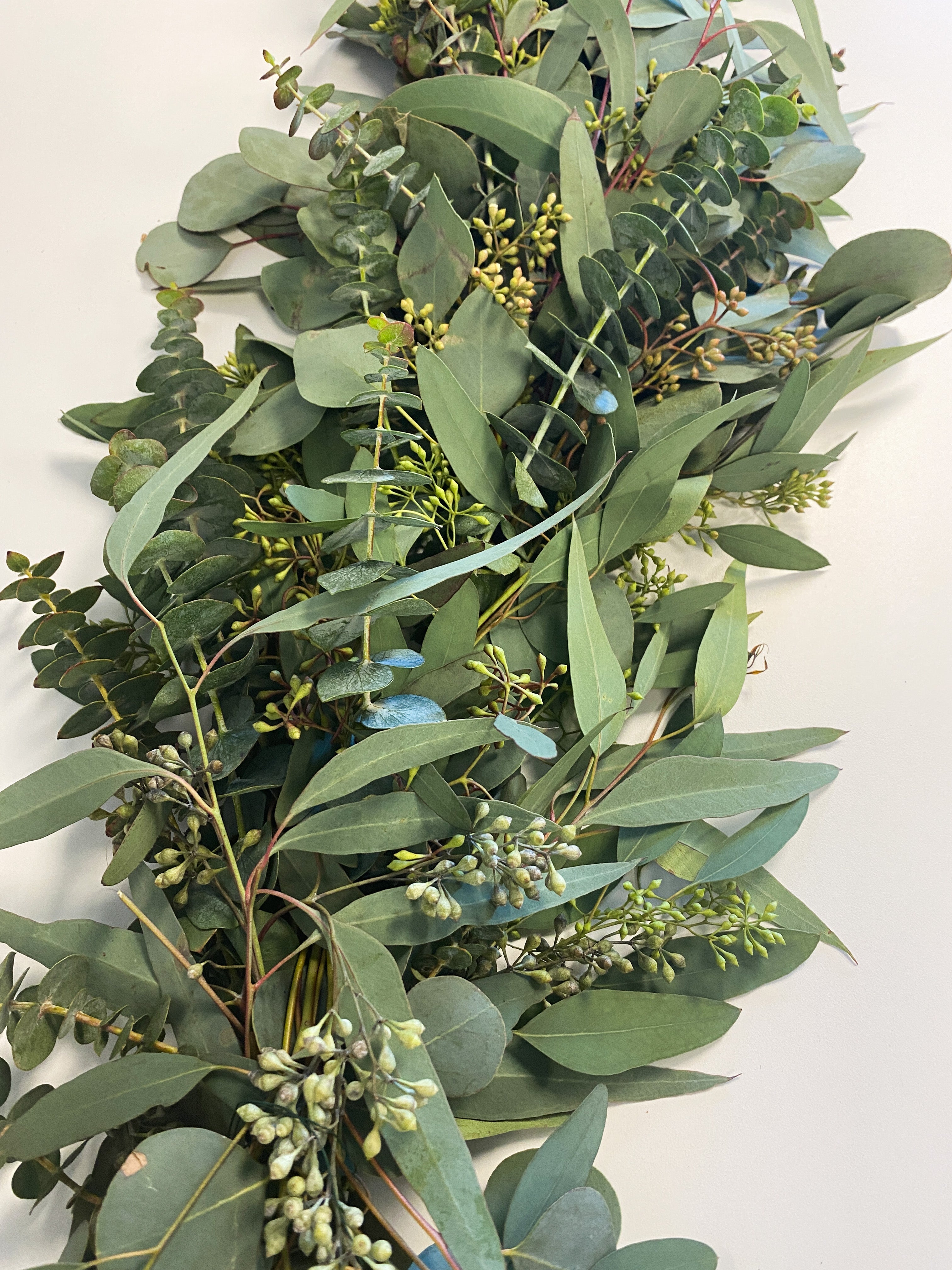 Eucalyptus and Fern Garland