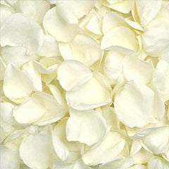 Wholesale loose rose petals To Decorate Your Environment 